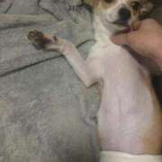 ヒメ日記 2026/03/27 01:01 投稿 ツカサ ルパン