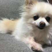 ヒメ日記 2026/04/08 16:58 投稿 ツカサ ルパン