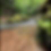 ヒメ日記 2025/07/02 22:36 投稿 つぐみ チアガール