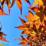 ヒメ日記 2025/12/02 21:56 投稿 つぐみ チアガール