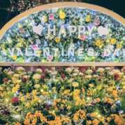 ヒメ日記 2026/02/12 09:35 投稿 つぐみ チアガール