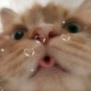 ヒメ日記 2026/02/22 09:05 投稿 つぐみ チアガール