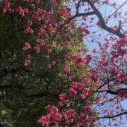 つぐみ 🚶‍♀ チアガール