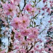 つぐみ 🥰🌸 チアガール