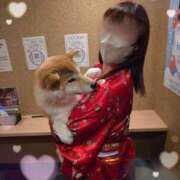 ヒメ日記 2026/03/07 12:47 投稿 キララ ハピネス東京