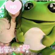 ヒメ日記 2026/09/10 13:57 投稿 キララ ハピネス東京