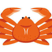 ヒメ日記 2024/12/14 09:17 投稿 さつき 松本人妻隊