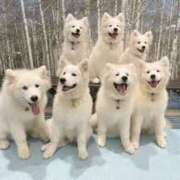 ヒメ日記 2025/01/14 12:19 投稿 さつき 松本人妻隊