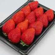 ヒメ日記 2025/01/15 07:15 投稿 さつき 松本人妻隊