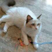 ヒメ日記 2025/02/22 20:22 投稿 さつき 松本人妻隊