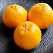 ヒメ日記 2025/03/04 20:24 投稿 さつき 松本人妻隊