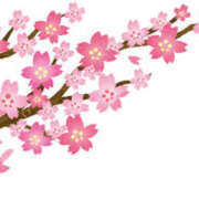 ヒメ日記 2025/03/09 06:52 投稿 さつき 松本人妻隊