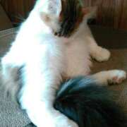 ヒメ日記 2025/03/14 15:11 投稿 さつき 松本人妻隊