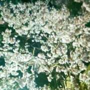 ヒメ日記 2025/04/17 12:01 投稿 さつき 松本人妻隊