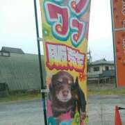 ヒメ日記 2025/05/24 12:11 投稿 さつき 松本人妻隊