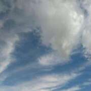 ヒメ日記 2025/05/25 16:52 投稿 さつき 松本人妻隊