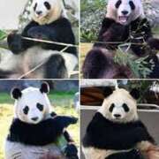 ヒメ日記 2025/05/26 14:31 投稿 さつき 松本人妻隊