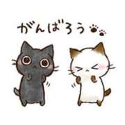 ヒメ日記 2025/05/30 06:15 投稿 さつき 松本人妻隊