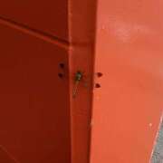 ヒメ日記 2025/06/27 12:24 投稿 さつき 松本人妻隊