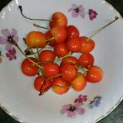 ヒメ日記 2025/06/29 20:52 投稿 さつき 松本人妻隊