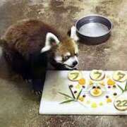 ヒメ日記 2025/07/08 15:15 投稿 さつき 松本人妻隊