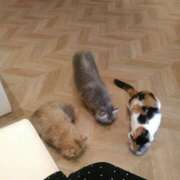 ヒメ日記 2025/07/18 20:32 投稿 さつき 松本人妻隊