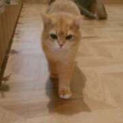 ヒメ日記 2025/07/19 12:01 投稿 さつき 松本人妻隊