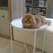 ヒメ日記 2025/08/02 16:27 投稿 さつき 松本人妻隊