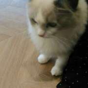 ヒメ日記 2025/08/07 12:11 投稿 さつき 松本人妻隊