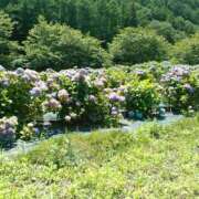 ヒメ日記 2025/08/11 12:01 投稿 さつき 松本人妻隊
