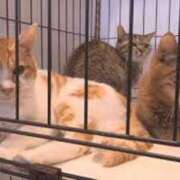 ヒメ日記 2025/08/14 00:15 投稿 さつき 松本人妻隊