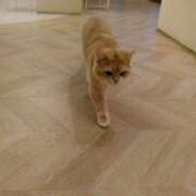 ヒメ日記 2025/09/12 20:01 投稿 さつき 松本人妻隊