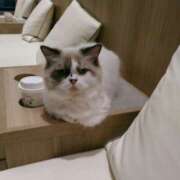 ヒメ日記 2025/09/14 15:13 投稿 さつき 松本人妻隊