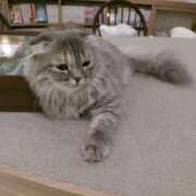 ヒメ日記 2025/09/15 14:53 投稿 さつき 松本人妻隊