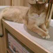 ヒメ日記 2025/09/24 20:11 投稿 さつき 松本人妻隊