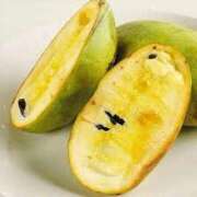 ヒメ日記 2025/10/15 15:40 投稿 さつき 松本人妻隊