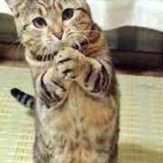 ヒメ日記 2025/10/20 19:47 投稿 さつき 松本人妻隊