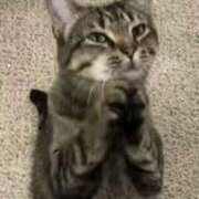 ヒメ日記 2025/10/21 12:32 投稿 さつき 松本人妻隊