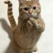 ヒメ日記 2025/10/23 12:55 投稿 さつき 松本人妻隊