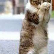 ヒメ日記 2025/10/25 18:11 投稿 さつき 松本人妻隊