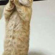 ヒメ日記 2025/10/28 17:13 投稿 さつき 松本人妻隊