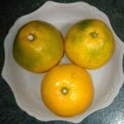 ヒメ日記 2025/11/03 06:13 投稿 さつき 松本人妻隊