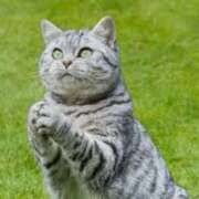 ヒメ日記 2025/11/07 18:52 投稿 さつき 松本人妻隊