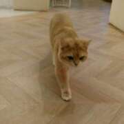 ヒメ日記 2025/12/08 01:25 投稿 さつき 松本人妻隊