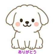 ヒメ日記 2025/12/08 15:02 投稿 さつき 松本人妻隊