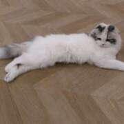 ヒメ日記 2025/12/09 21:21 投稿 さつき 松本人妻隊