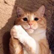 ヒメ日記 2025/12/15 21:21 投稿 さつき 松本人妻隊