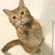 ヒメ日記 2025/12/20 19:52 投稿 さつき 松本人妻隊