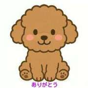 ヒメ日記 2026/01/12 14:26 投稿 さつき 松本人妻隊