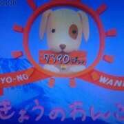 ヒメ日記 2026/01/29 08:00 投稿 さつき 松本人妻隊